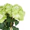 32" Green Hydrangea Artificial Flower Stem, 8ct.